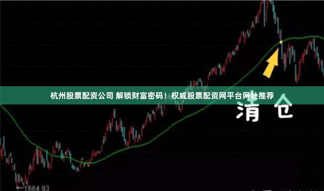 杭州股票配资公司 解锁财富密码！权威股票配资网平台网址推荐