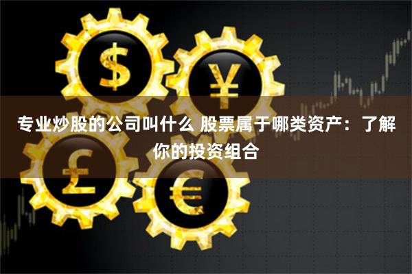 专业炒股的公司叫什么 股票属于哪类资产：了解你的投资组合