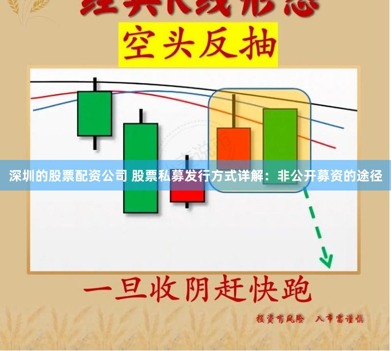 深圳的股票配资公司 股票私募发行方式详解：非公开募资的途径