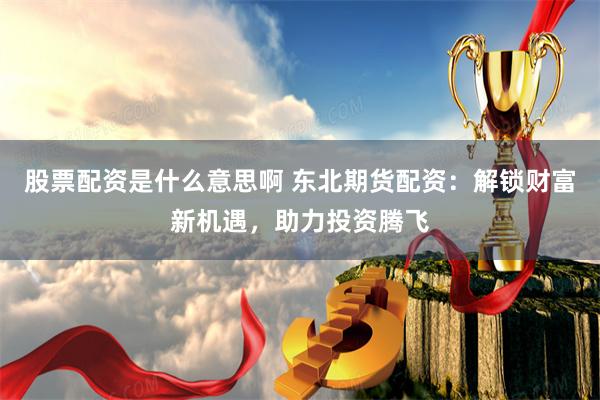 股票配资是什么意思啊 东北期货配资：解锁财富新机遇，助力投资腾飞