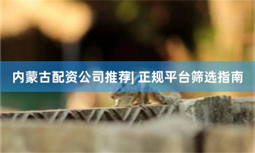 内蒙古配资公司推荐| 正规平台筛选指南