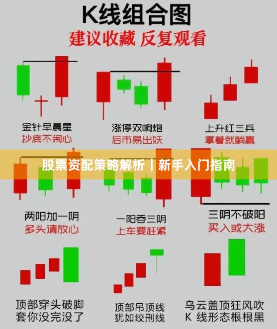 股票资配策略解析｜新手入门指南