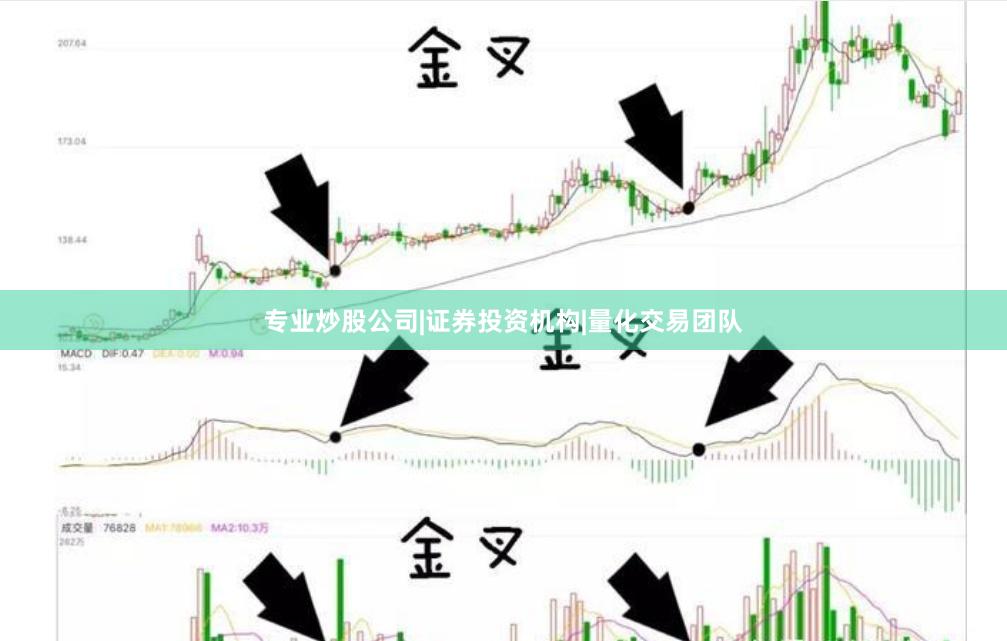 专业炒股公司|证券投资机构|量化交易团队