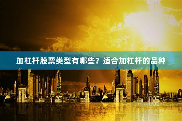 加杠杆股票类型有哪些？适合加杠杆的品种